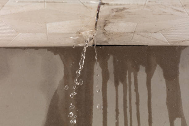 Professional Flood Damage Cleanup technician working in Bonner Springs, KS